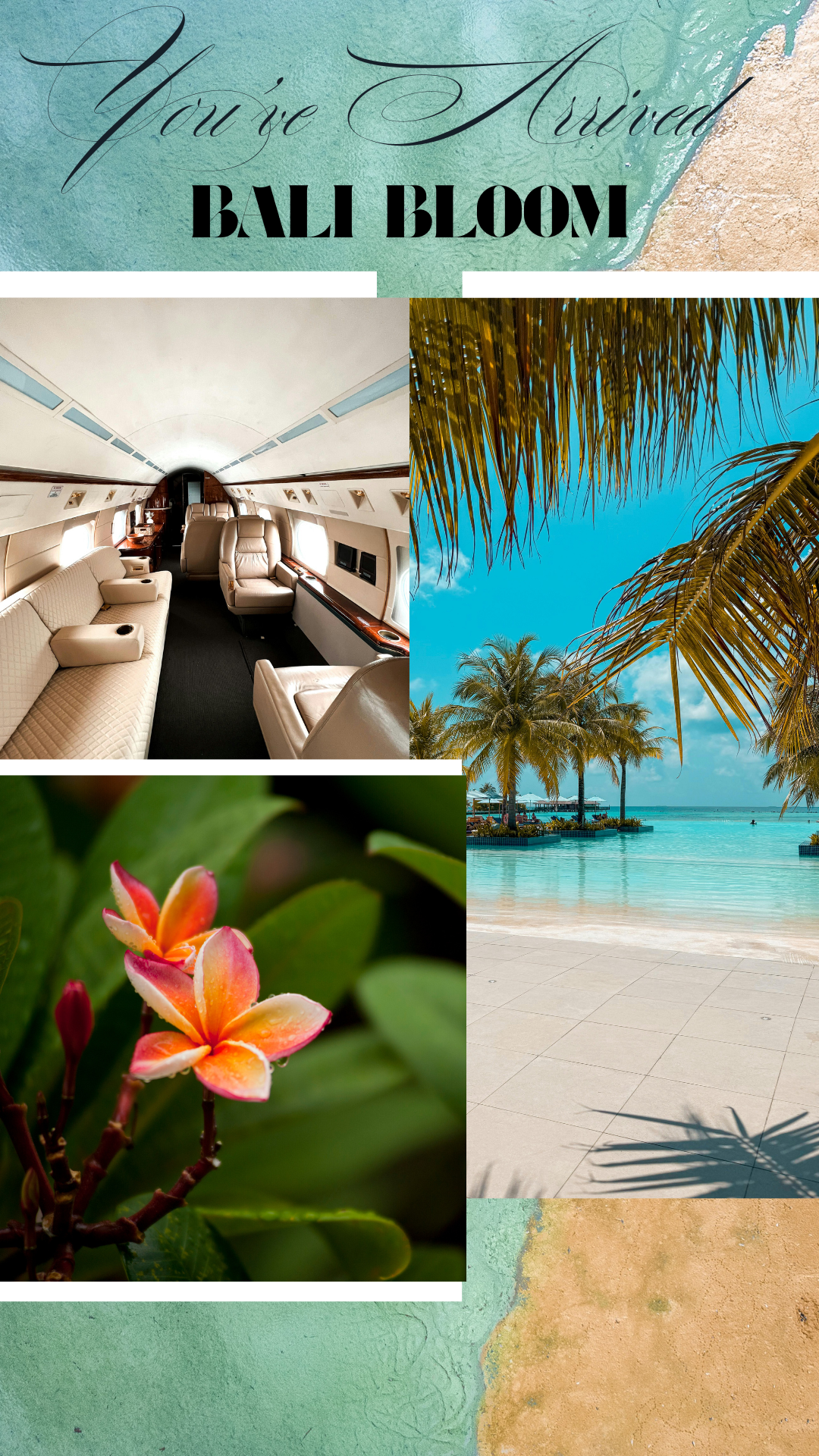 Bali Bloom · Luxury Sugar Scrub (Freesia EO · Lilac Accord · Jasmine EO)