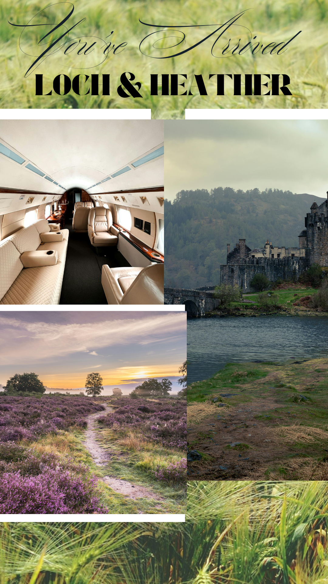 Loch & Heather · Luxury Salt Scrub (Heather · Moss · Lemon)