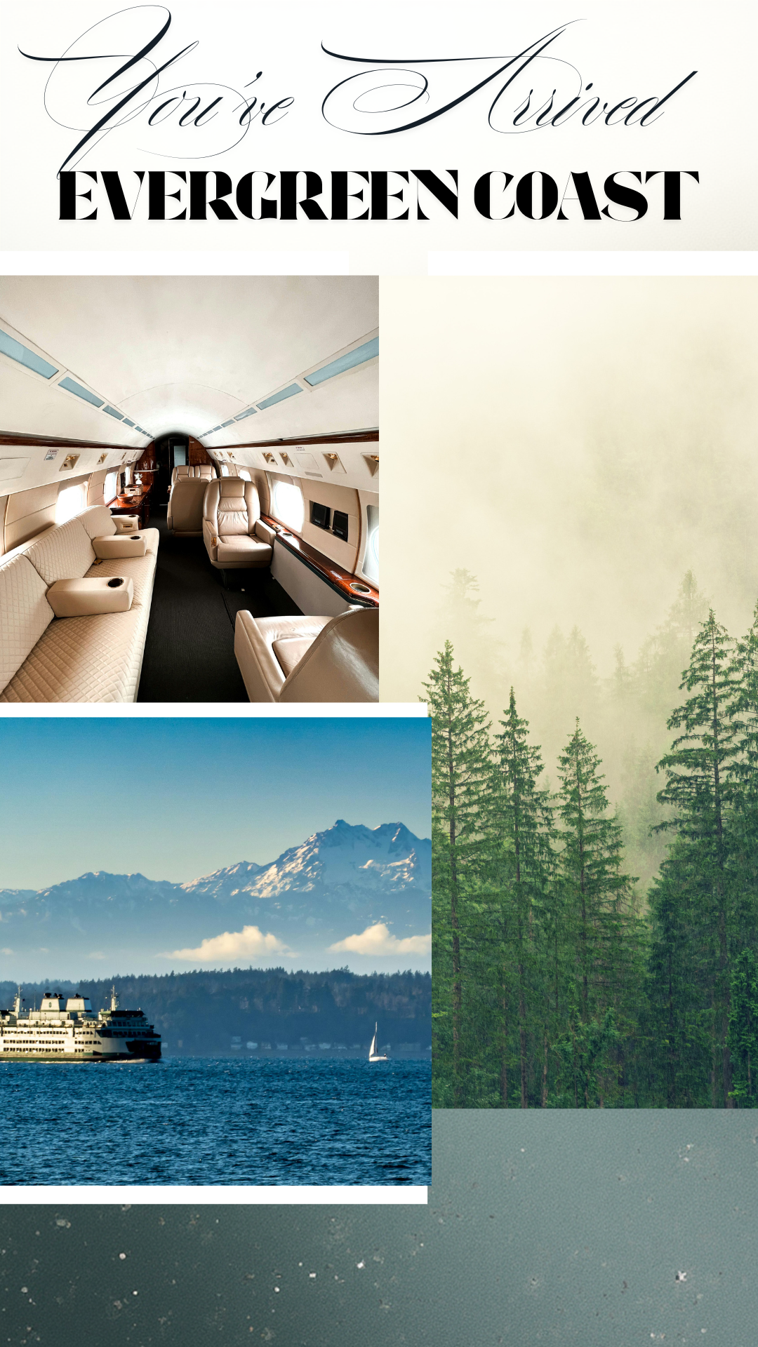 Evergreen Coast 🌲 Luxury Salt Scrub (Cypress . Vetiver . Patchouli)