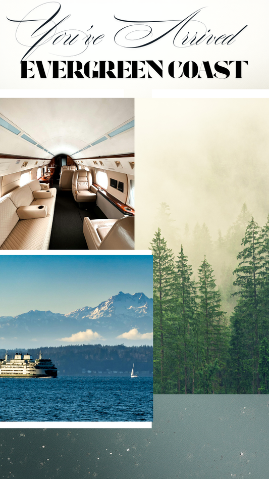 Evergreen Coast 🌲 Luxury Salt Scrub (Cypress . Vetiver . Patchouli)