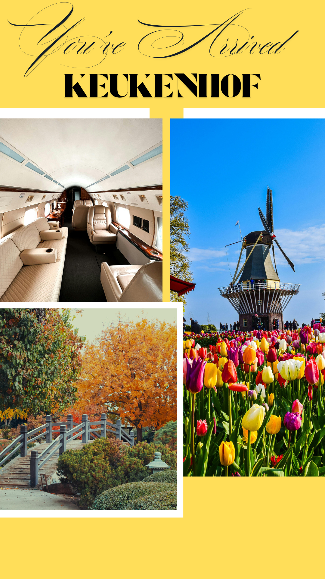 Kuekenhof · Luxury Sugar Scrub (Citrus · Neroli)